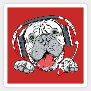 dog with headphone Sticker